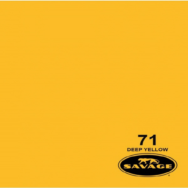 (사베지)종이 롤배경지 # 71 Deep Yellow (가로272cm*세로1100cm)